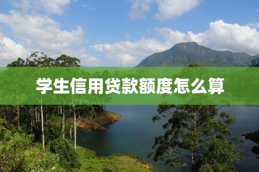 学生信用贷款额度怎么算