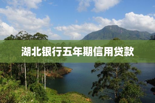 湖北银行五年期信用贷款