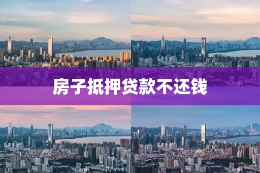 房子抵押贷款不还钱