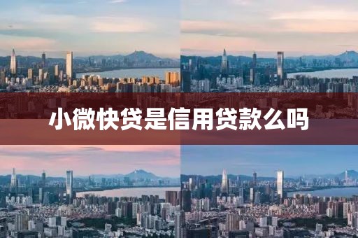 小微快贷是信用贷款么吗