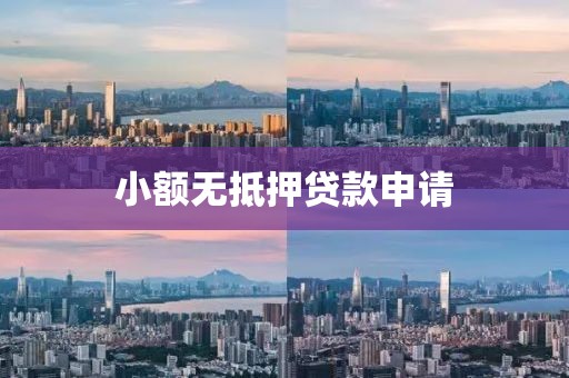 小额无抵押贷款申请