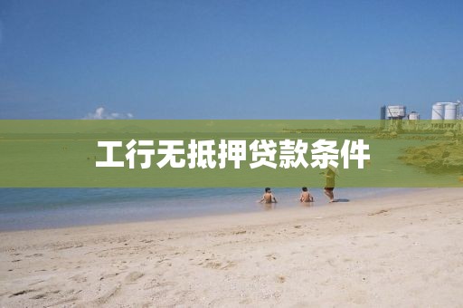 工行无抵押贷款条件