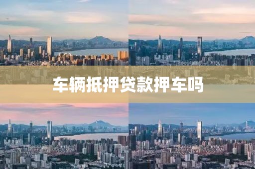 车辆抵押贷款押车吗