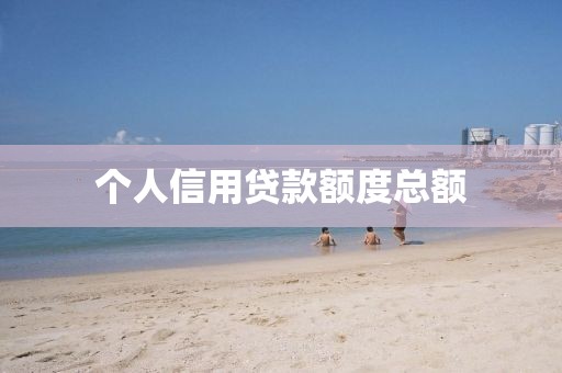 个人信用贷款额度总额