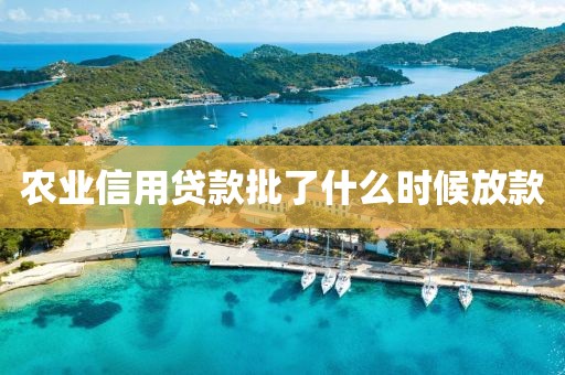 农业信用贷款批了什么时候放款