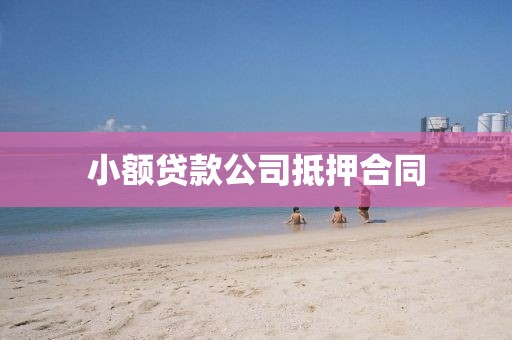 小额贷款公司抵押合同