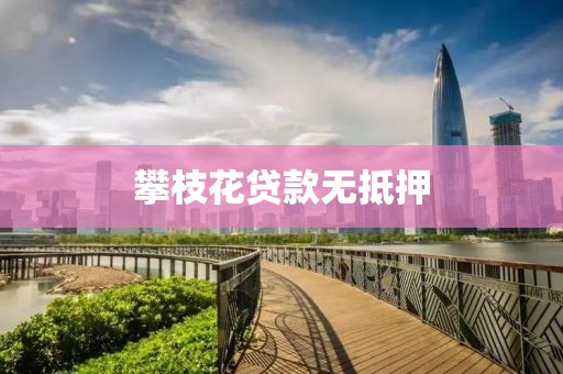 攀枝花贷款无抵押