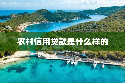 农村信用贷款是什么样的