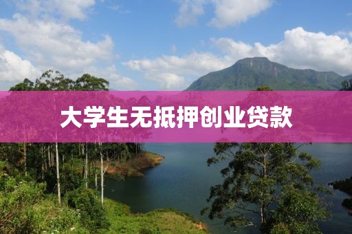 大学生无抵押创业贷款
