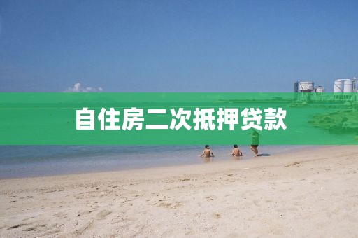 自住房二次抵押贷款
