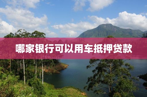 哪家银行可以用车抵押贷款