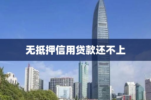 无抵押信用贷款还不上
