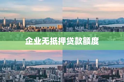 企业无抵押贷款额度