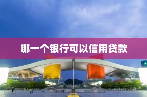 哪一个银行可以信用贷款