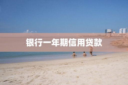 银行一年期信用贷款
