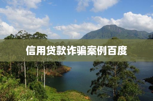 信用贷款诈骗案例百度