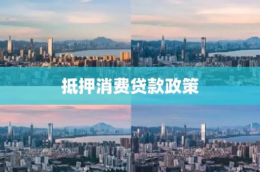 抵押消费贷款政策