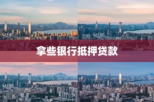 拿些银行抵押贷款