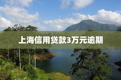 上海信用贷款3万元逾期