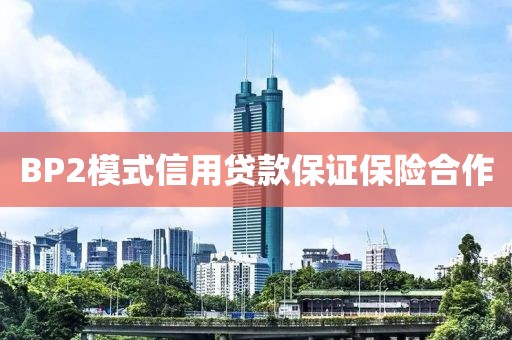 BP2模式信用贷款保证保险合作