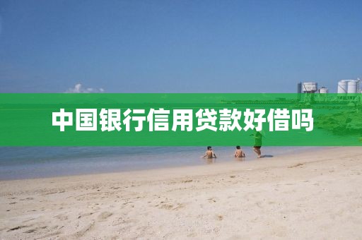 中国银行信用贷款好借吗