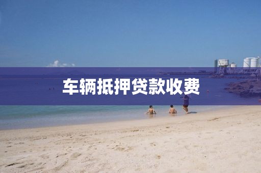 车辆抵押贷款收费