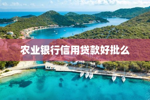 农业银行信用贷款好批么