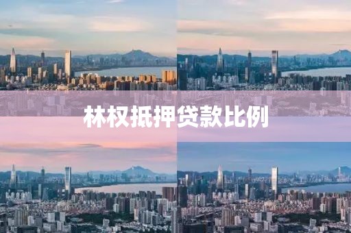 林权抵押贷款比例