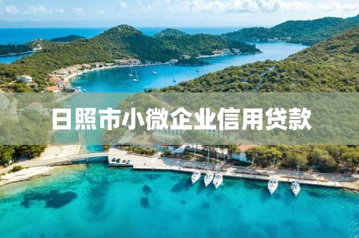 日照市小微企业信用贷款