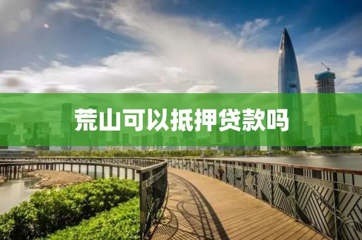 荒山可以抵押贷款吗