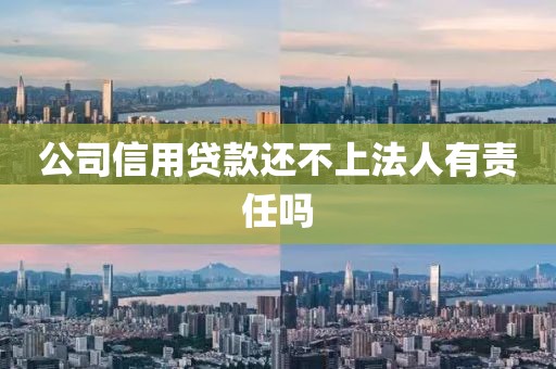 公司信用贷款还不上法人有责任吗