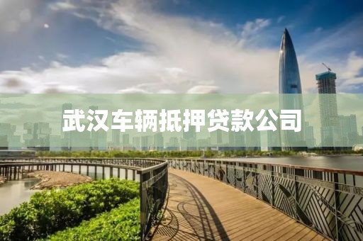 武汉车辆抵押贷款公司