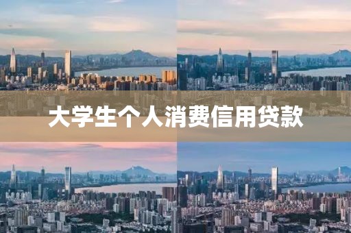 大学生个人消费信用贷款