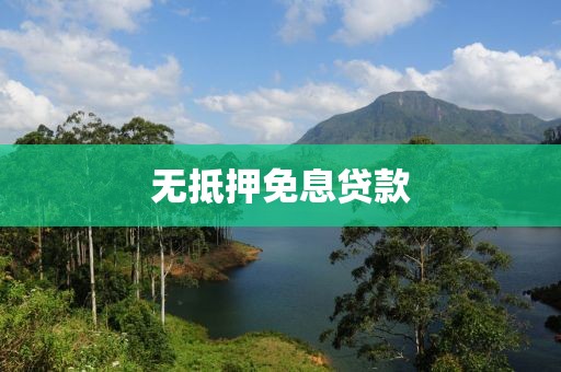 无抵押免息贷款