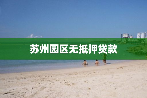 苏州园区无抵押贷款