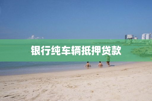 银行纯车辆抵押贷款
