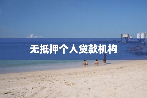 无抵押个人贷款机构