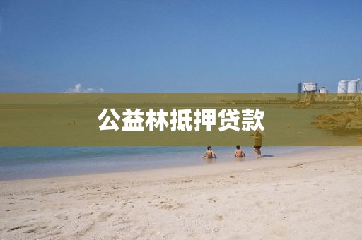 公益林抵押贷款