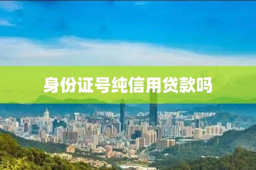 身份证号纯信用贷款吗