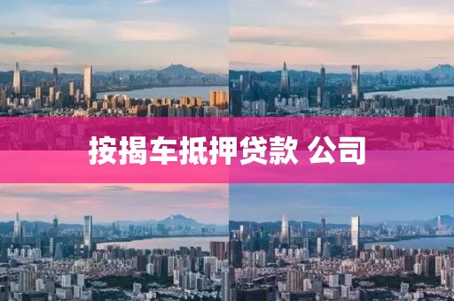 按揭车抵押贷款 公司