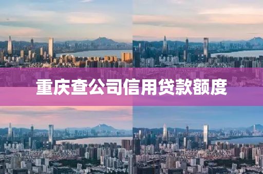 重庆查公司信用贷款额度