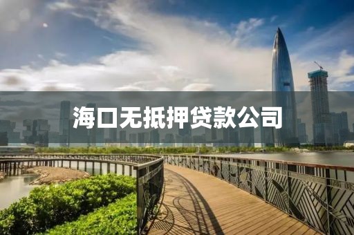 海口无抵押贷款公司