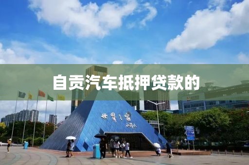 自贡汽车抵押贷款的