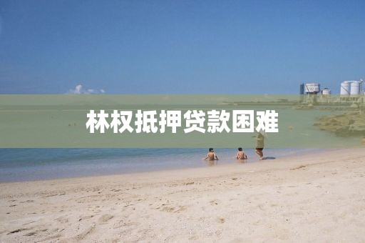 林权抵押贷款困难