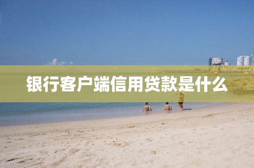 银行客户端信用贷款是什么