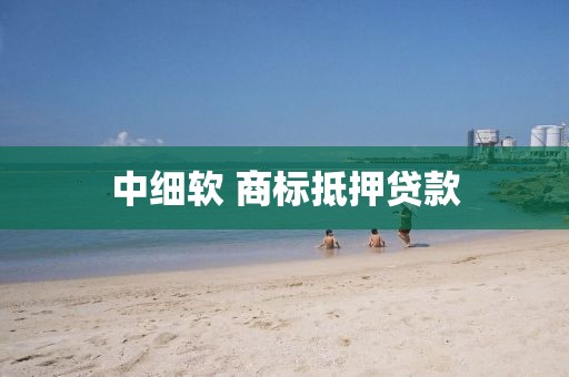 中细软 商标抵押贷款