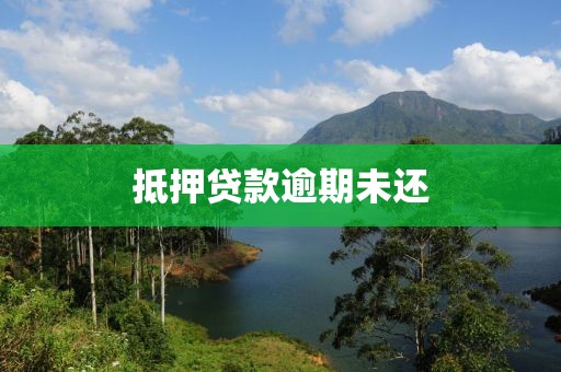 抵押贷款逾期未还