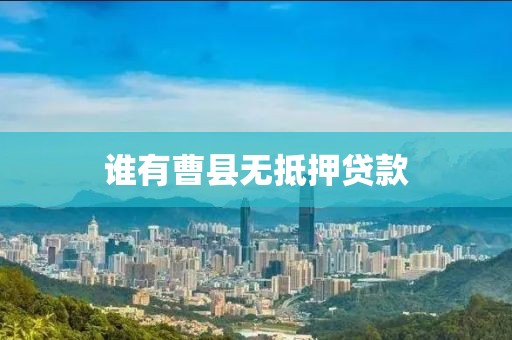谁有曹县无抵押贷款