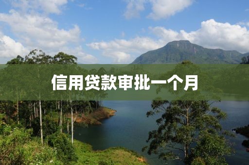信用贷款审批一个月