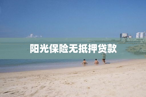 阳光保险无抵押贷款